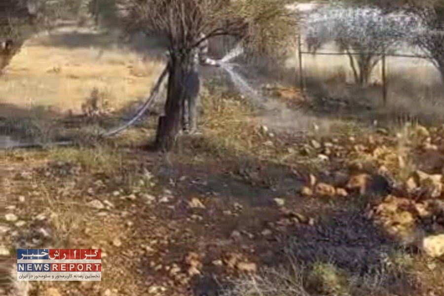 مهار آتش‌سوزی در پارک ملی بمو