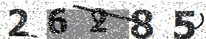 تصویر امنیتی