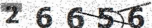 تصویر امنیتی