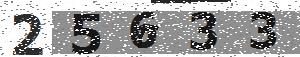 تصویر امنیتی